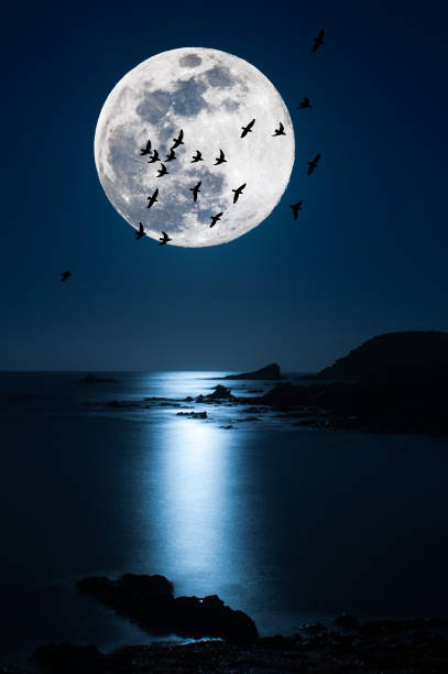 istock Night landscape on the coast with super moon 1164352270