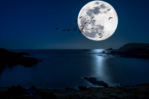 istock Moon on the sea of Sardinia . 1164352787