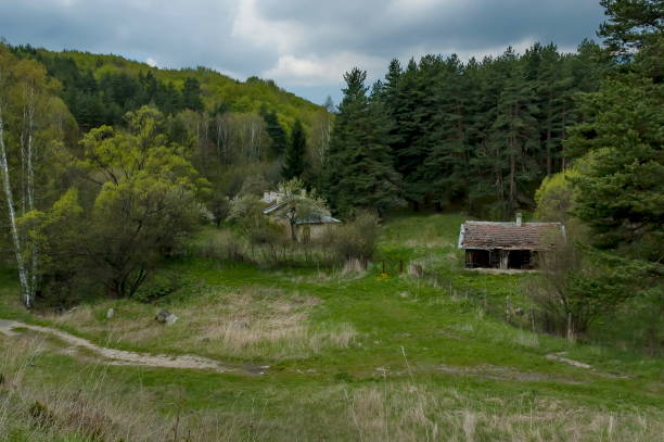 istock Landscape at Plana mountain 1164354435
