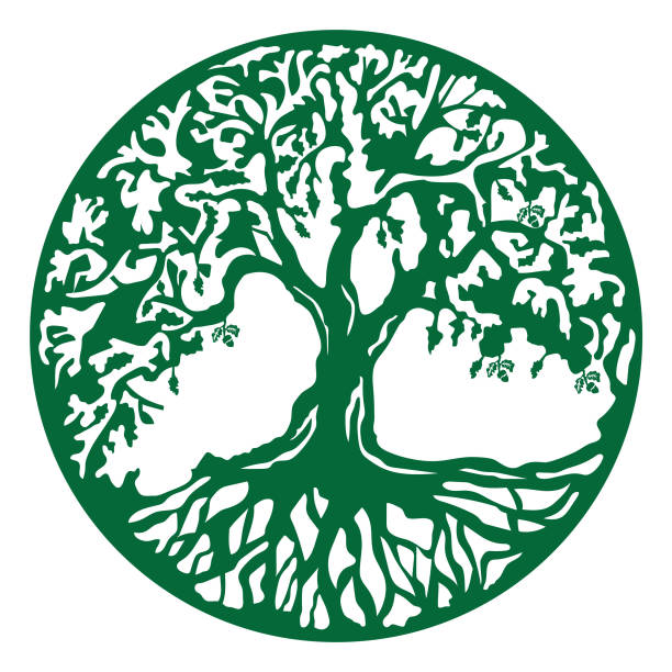 древо жизни - tree root environment symbol stock illustrations