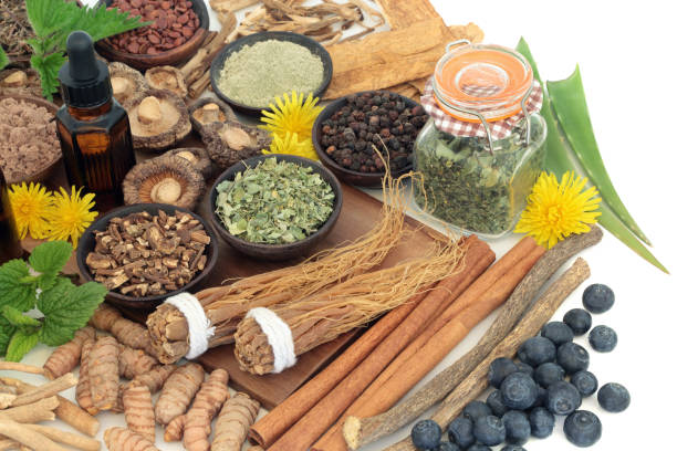 istock Adaptogen Herbal Medicine and Food Selection 1164355380