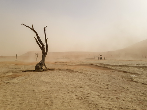 Sand dunes, Namibia desert, Africa