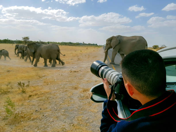 istock Tourist photographer on safari in Namibia 1164358687