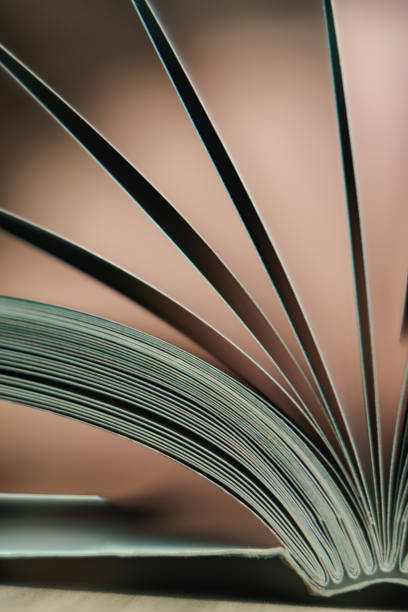 istock Close up beautiful book on a wooden table background. 1164360149