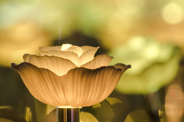 The lights are decorated as flowers to create beautiful light