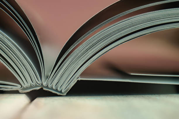 istock Close up beautiful book on a wooden table background. 1164361711