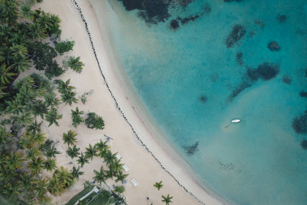 istock Aerial view of tropical beach 1164361900