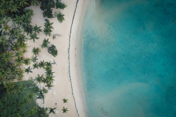 istock bird view shot Bahia principe beach 1164361907