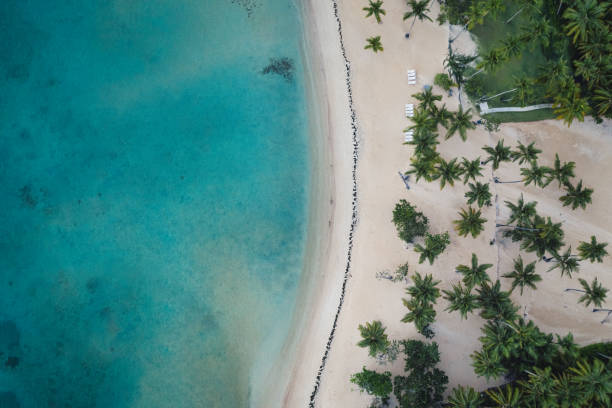 istock Drone shot of republic Dominican beach 1164361908