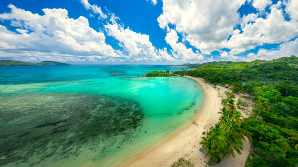 Aerial view of playa Rincon beach