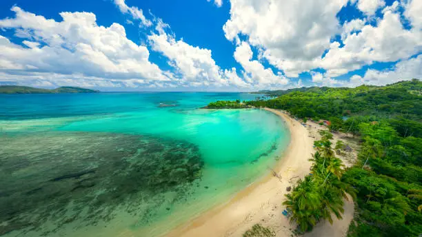 Drone shot of tropical beach.Samana peninsula,Playa Rincon beach,Dominican Republic.