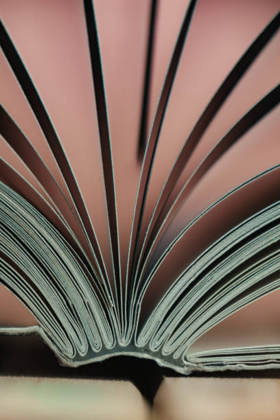 istock Close up beautiful book on a wooden table background. 1164362790