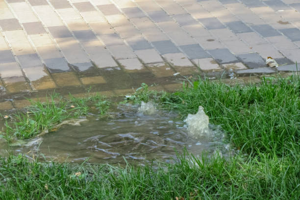 istock Emergency sewage. Water flows down the sidewalk from the sewer. 1164363394