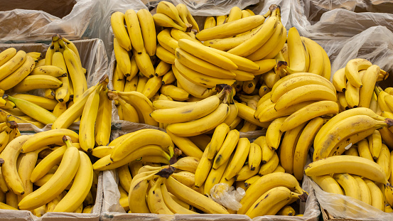 Ripe yellow bananas packed in boxes on the counter of a market supermarket. Exotic fruit in the supermarket, a bunch of banana. Background Wallpaper Banner