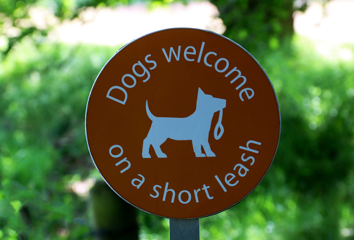 Dogs Welcome sign at an urban park