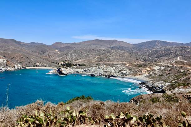 istock Remote beach on Catalina Island 1164366632