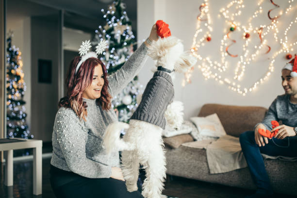 istock Millennial couple playing with cute dog 1164368966