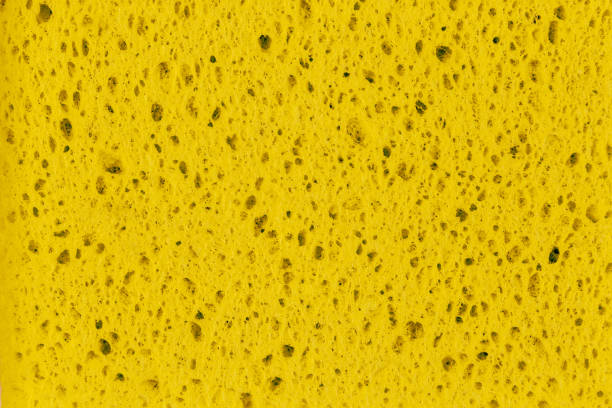 istock Sponge for spa or dish washing closeup background texture 1164373350