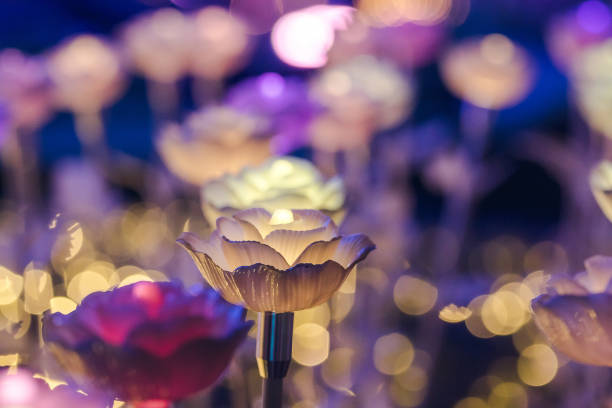 istock lights are decorated as flowers to create beautiful light 1164378022