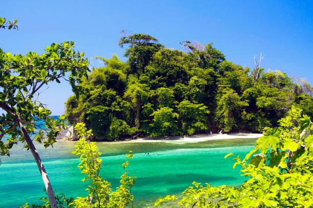 istock View on Island - Jamaica 1164379693