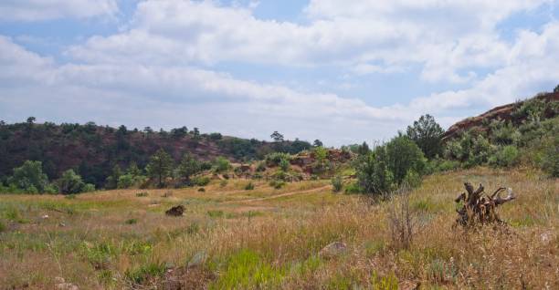 istock Bike Park 1164381646