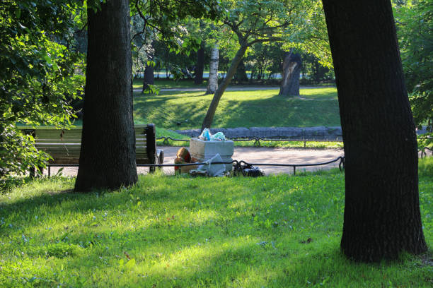 istock trash in the city park. bench and overflowing garbage bin 1164381821