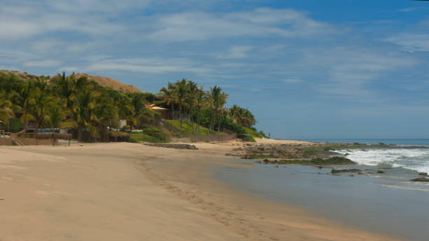 istock Footprints in the sand of an empty beach with palm trees in the background 1164382973
