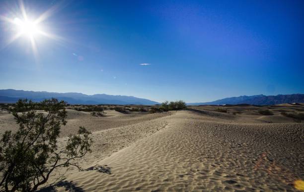 istock sun shining on the mesquite sand dunes 1164387383