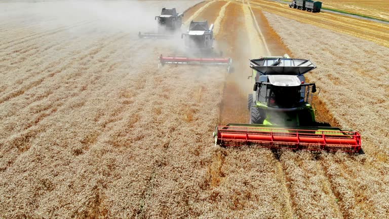 Aerial view of three combine harvesters