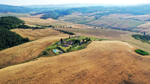 aerial view of tuscany landscape, val d’orcia, italy. golden and green glades, road with cypress trees at sunset. - val tuscany cypress tree italy imagens e fotografias de stock