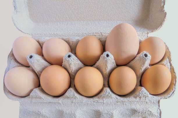 istock a dozen eggs in a cardboard tray one very large egg 1164390696