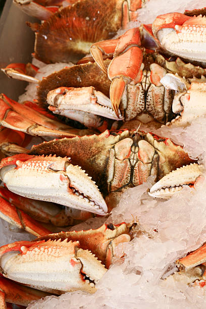 istock row of crabs at pike's market 116439236