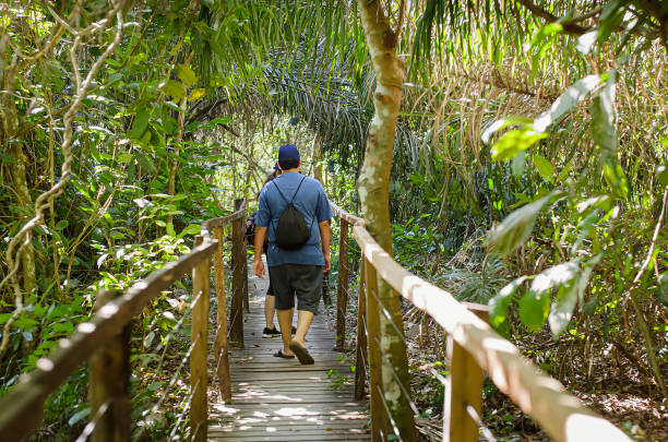 People walking on a wooden footpath on the forest People walking on a wooden footpath in the middle of the forest. Straight footpath surrounded by trees and plants at Bonito MS, Brazil. Brazilian ecotourism. bonito brazil stock pictures, royalty-free photos & images