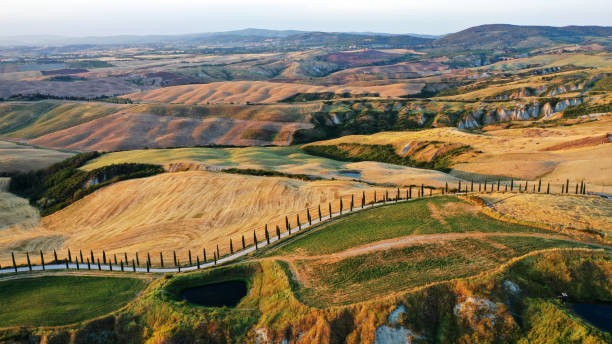 vue aérienne du paysage de toscane, val d'orcia, italie. clairières dorées et vertes, route avec des cyprès au coucher du soleil. - val dorcia photos et images de collection