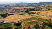 Aerial view of Tuscany landscape, Val d’Orcia, Italy. Golden and green glades, road with cypress trees at sunset.
