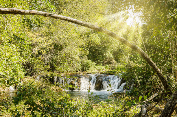 Paraty is a historical and tourist city in Rio de Janeiro, besides restaurants, trails, the historical center, several waterfalls, literary festivals and where Paraty in Focus, an annual photography festival takes place. This is a waterfall that I found along the Paraty-Cunha road, already in the state of São Paulo.