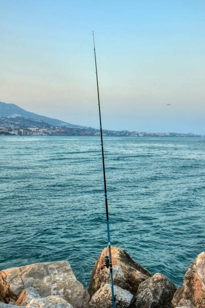 istock Fishing rods by the Mediterranean Sea 1164394496