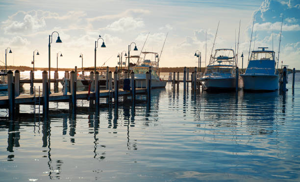 istock Marina Miami Florida 1164394831