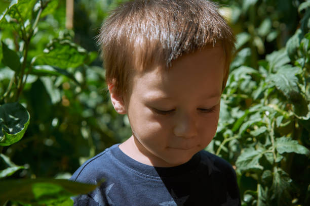 istock Cute child on vegetable garden 1164394835