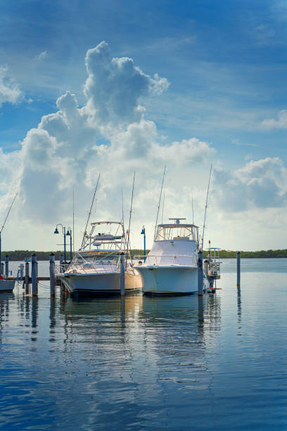 marina miami floride - yacht florida yachting nautical vessel photos et images de collection