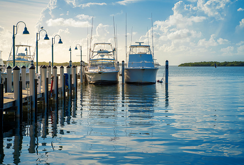 Four motor boats from the front side by side in the marina of Aalborg, reflection in the water, horizontal