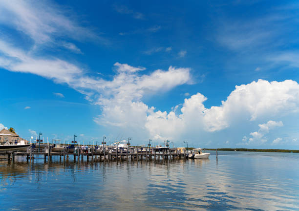 istock Marina Miami Florida 1164396327