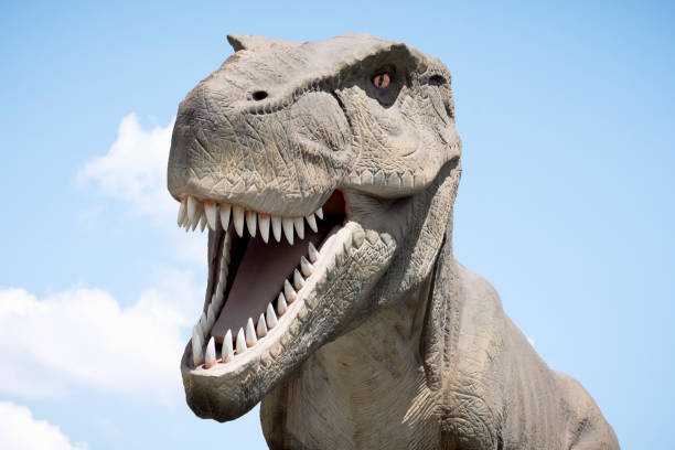 istock tyrannosaurus rex dinosaur 1164396526