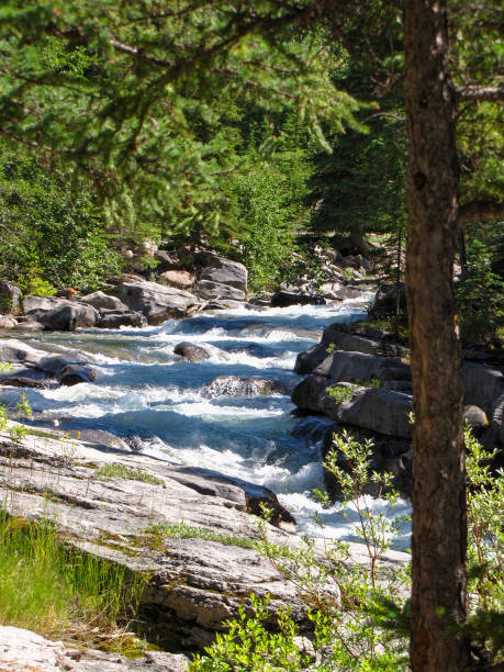 istock Blue wild river and waterfalls flowing down, Maligne Canyon, Jasper, Canada 1164397267
