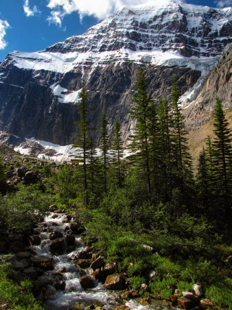 istock River and snowy mountain in Jasper National Park, Canada 1164397360