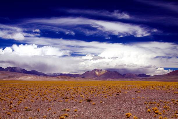 View over barren dry endless plain dotted with tufts of dried gras and blurred mountain range in the horizon - Maricunga Salt flat plateau near San Pedro de Atacama, Chile