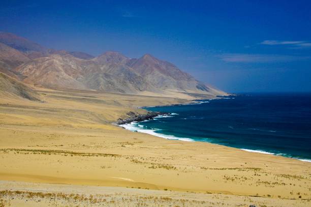 istock View on deserted isolated bay at endless uninhabited rugged pacific coast 1164400001
