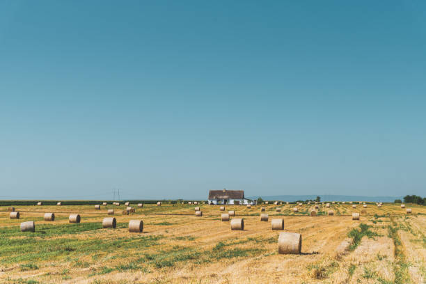 istock panorama of fields with hay bales and a small house 1164400064
