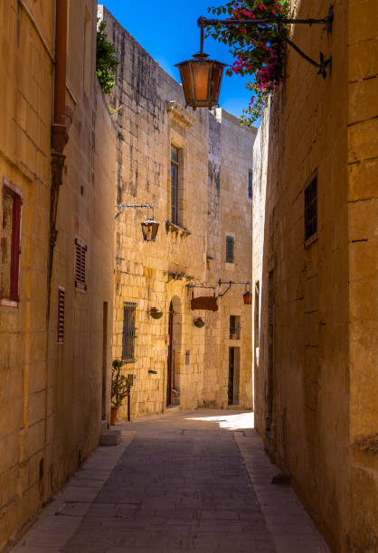 istock Ancient Narrow Street 1164404685