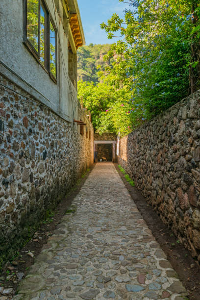 istock Vanishing point view of a hall surrounded by nature 1164405852